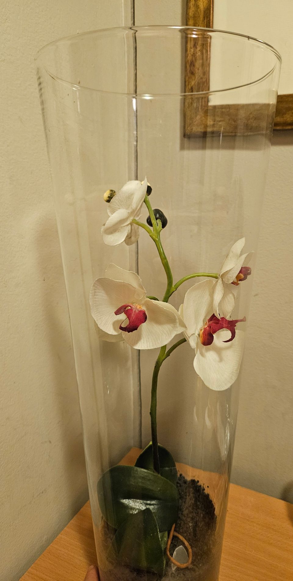 Sisustus Orkidea