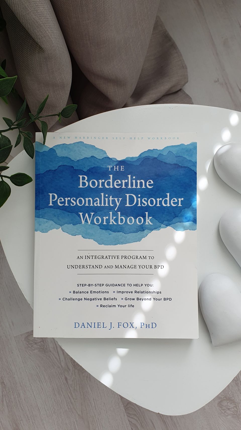 The Borderline Personality Disorder Workbook - Daniel J. Fox