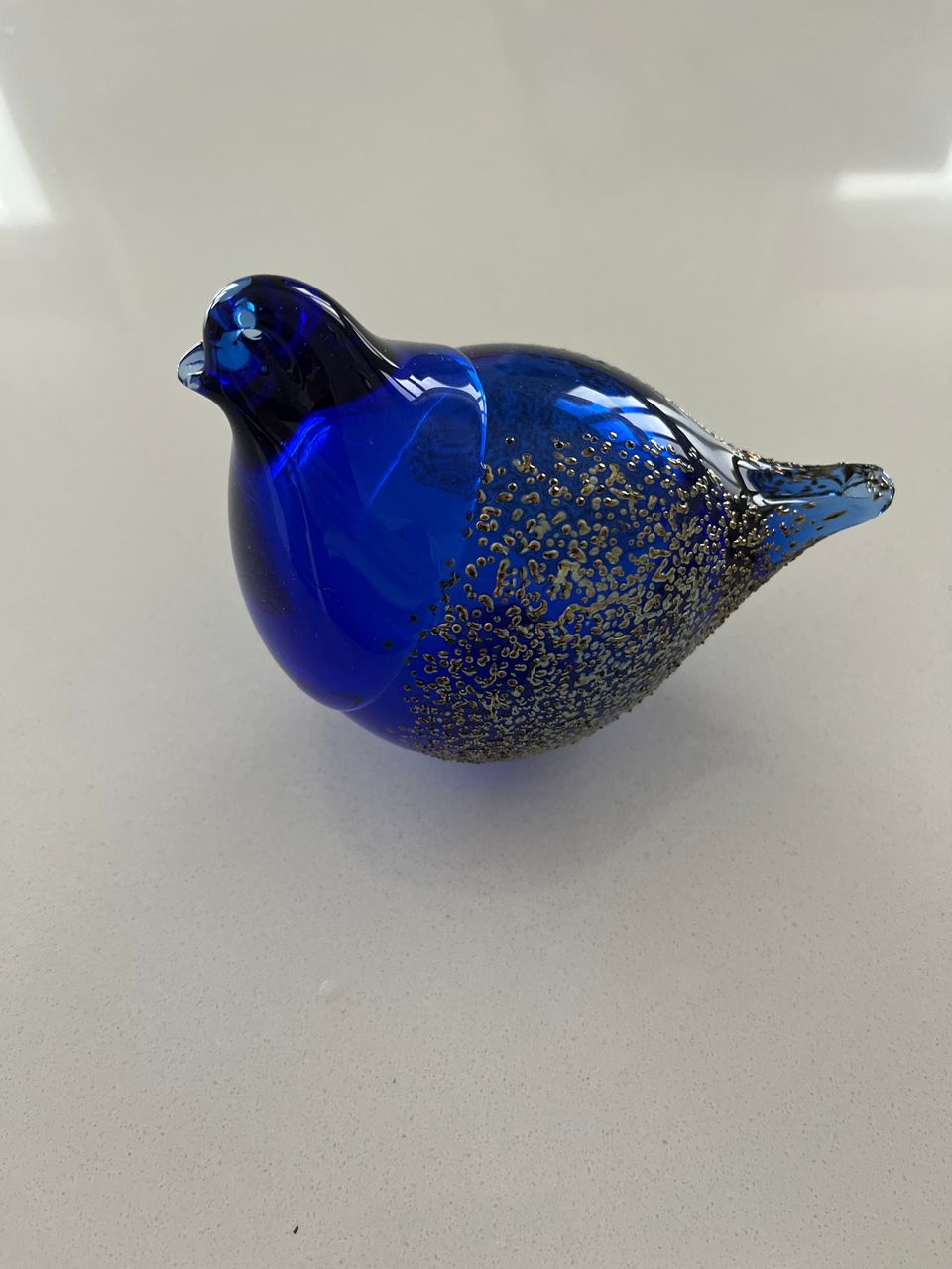 Sininen lasilintu (Muurla)