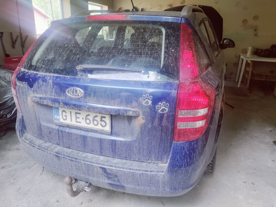 Kia Ceed osina