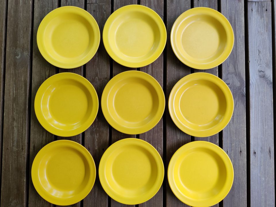 Sarvis keltaiset 669 lautaset