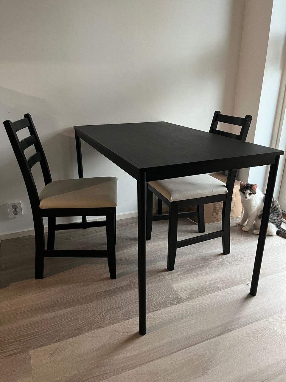 Pöytä + kaksi tuolia *VARATTU*