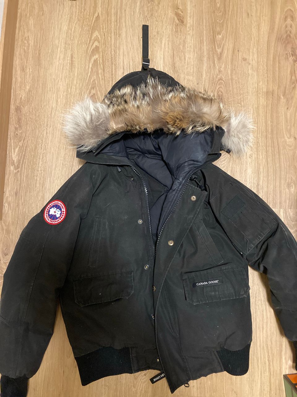 Canada Goose