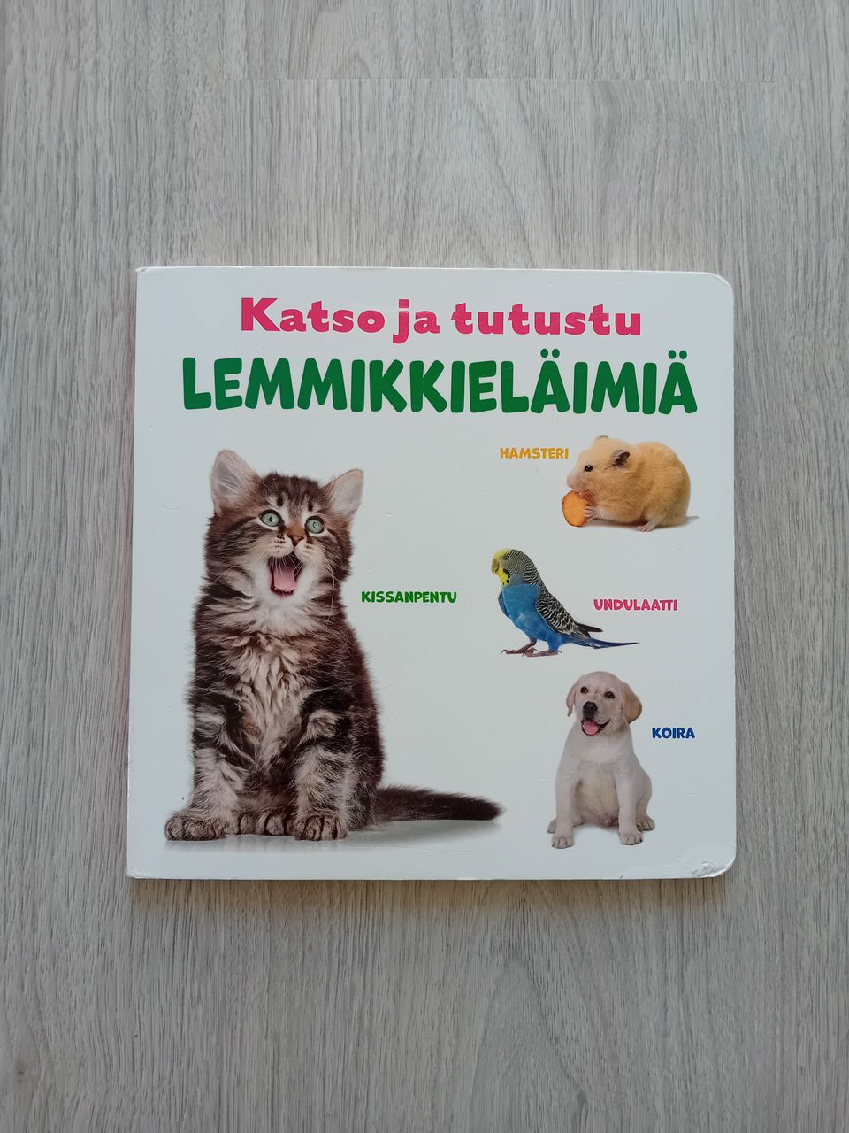 Katso ja tutustu: Lemmikkieläimiä