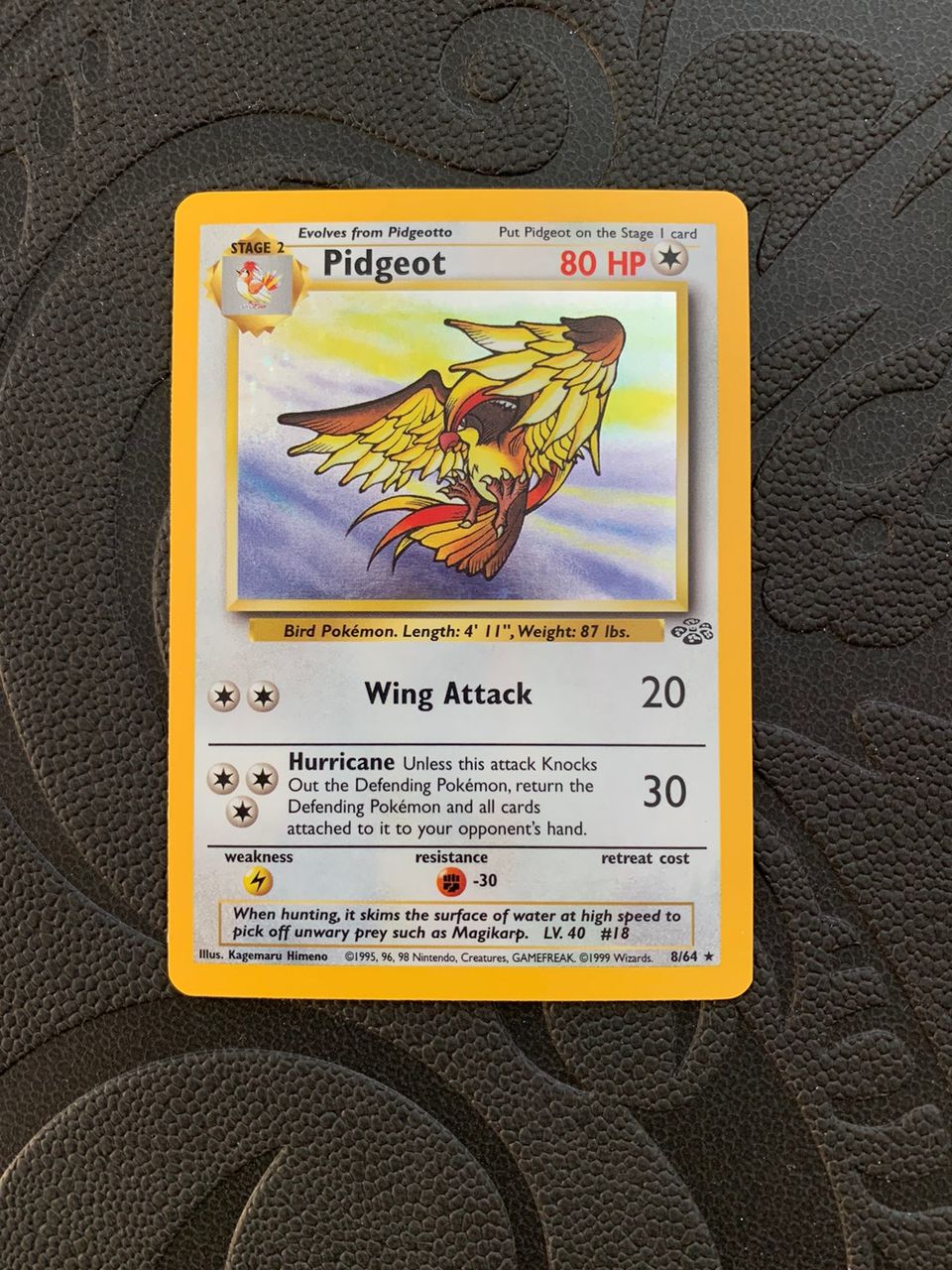 Pidgeot Holo Jungle Pokemon kortti