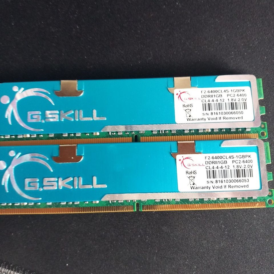 G.skill PC2-6400 1GB DDRII CL4 RAM