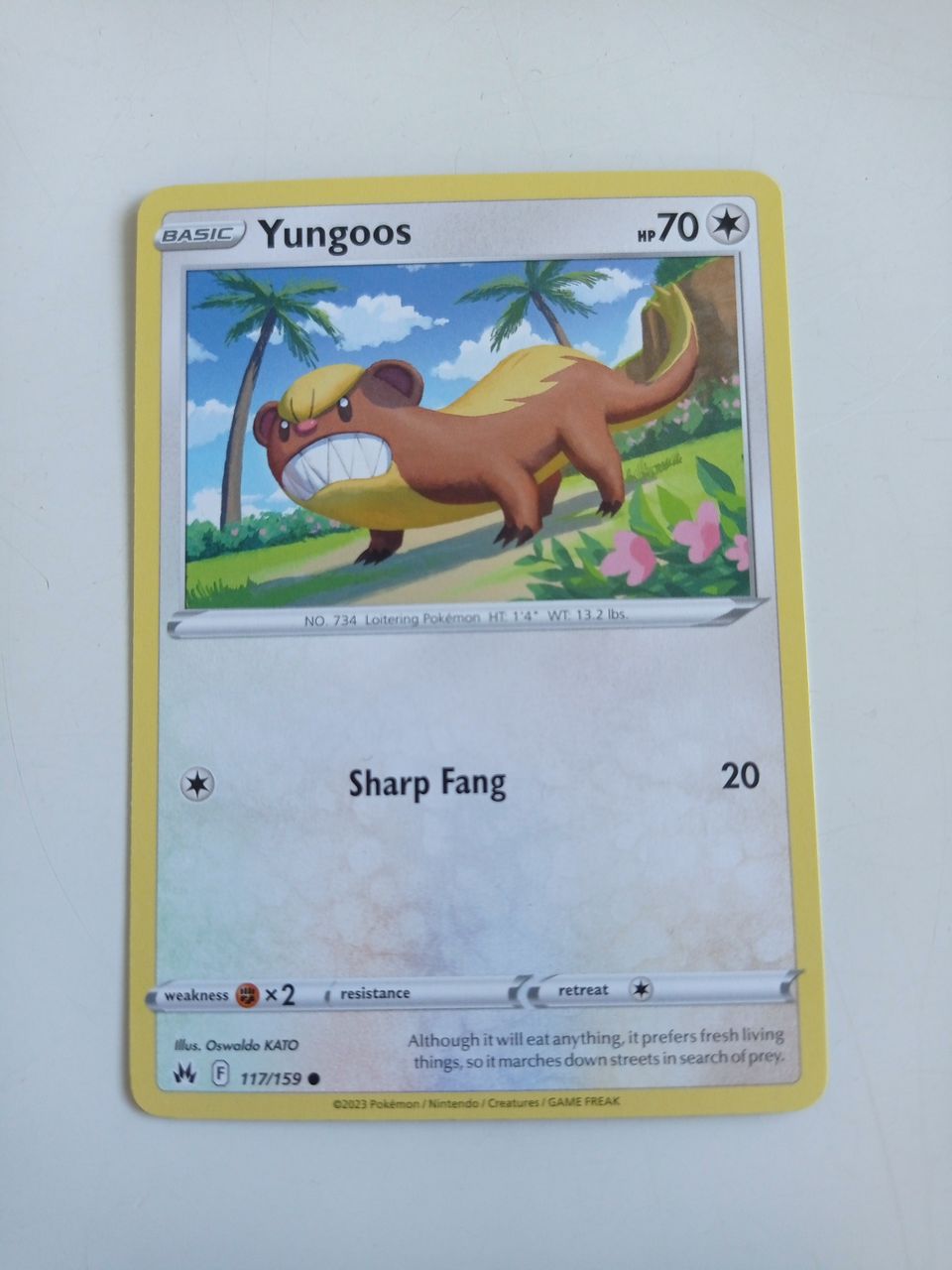 Pokemon kortti yungoos 117/159