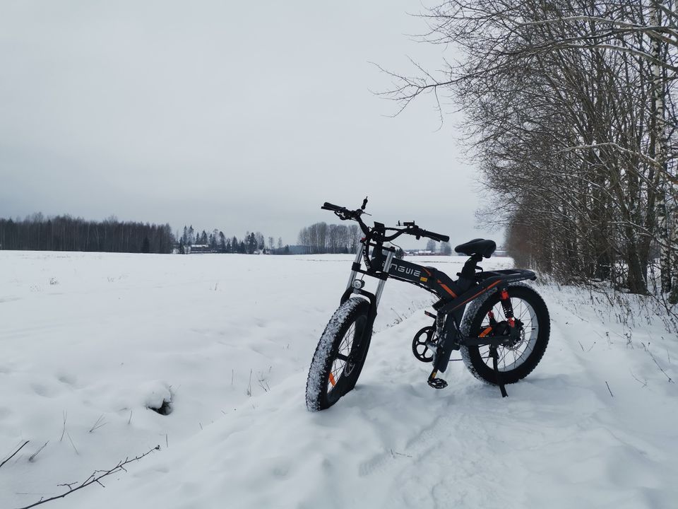 Engwe x24 1000w dual battery electric fat bike