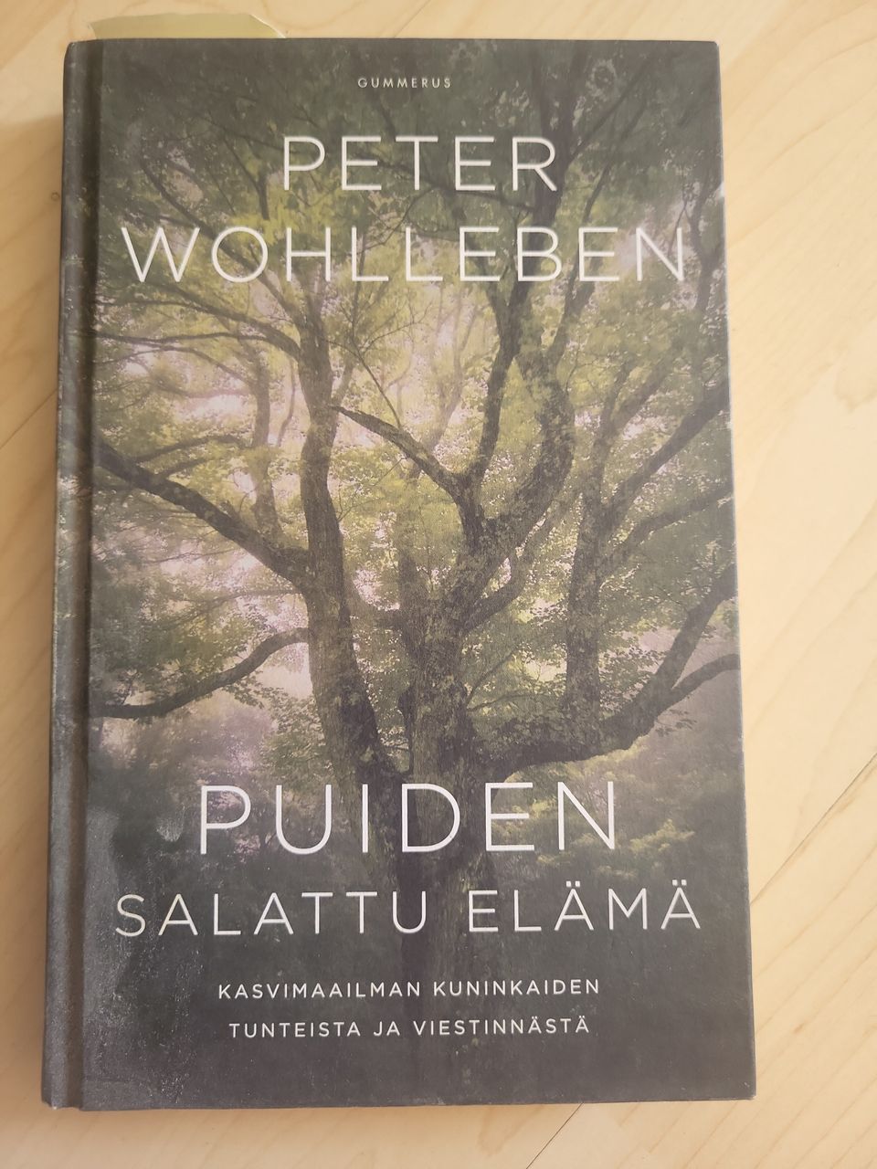 Kirja Puiden salattu elämä Peter Wohlleben