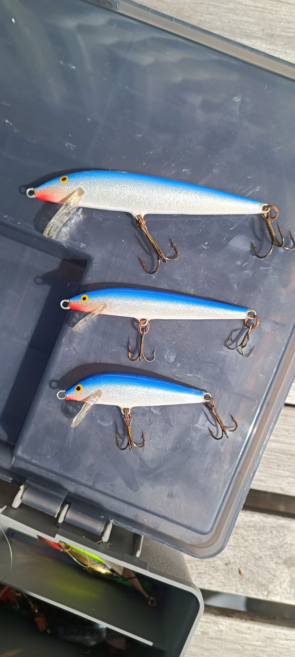 3 Rapala vaappua