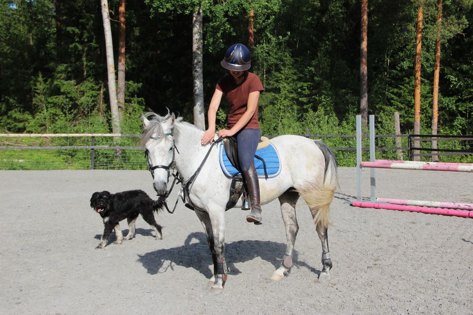 Poniruuna harrastamiseen tai kilpailuihin