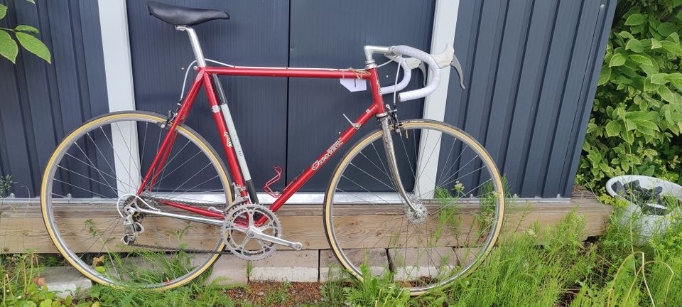 Crescent Eddy Merckx retro kilpuri