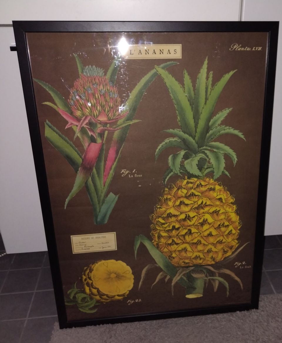 Ananas -taulu juliste