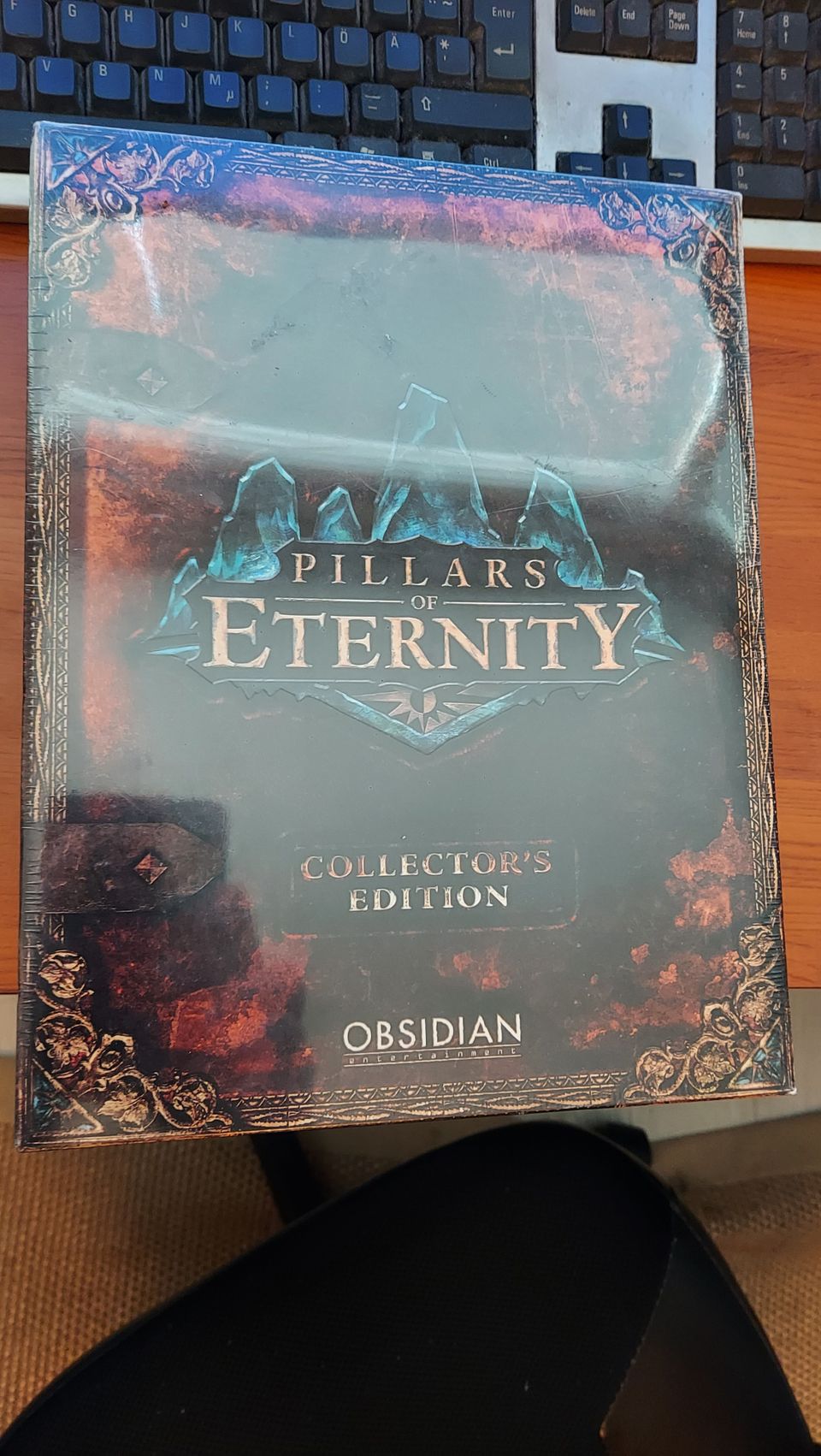 Pillars of Eternity Collector's Edition, avaamaton PC peli