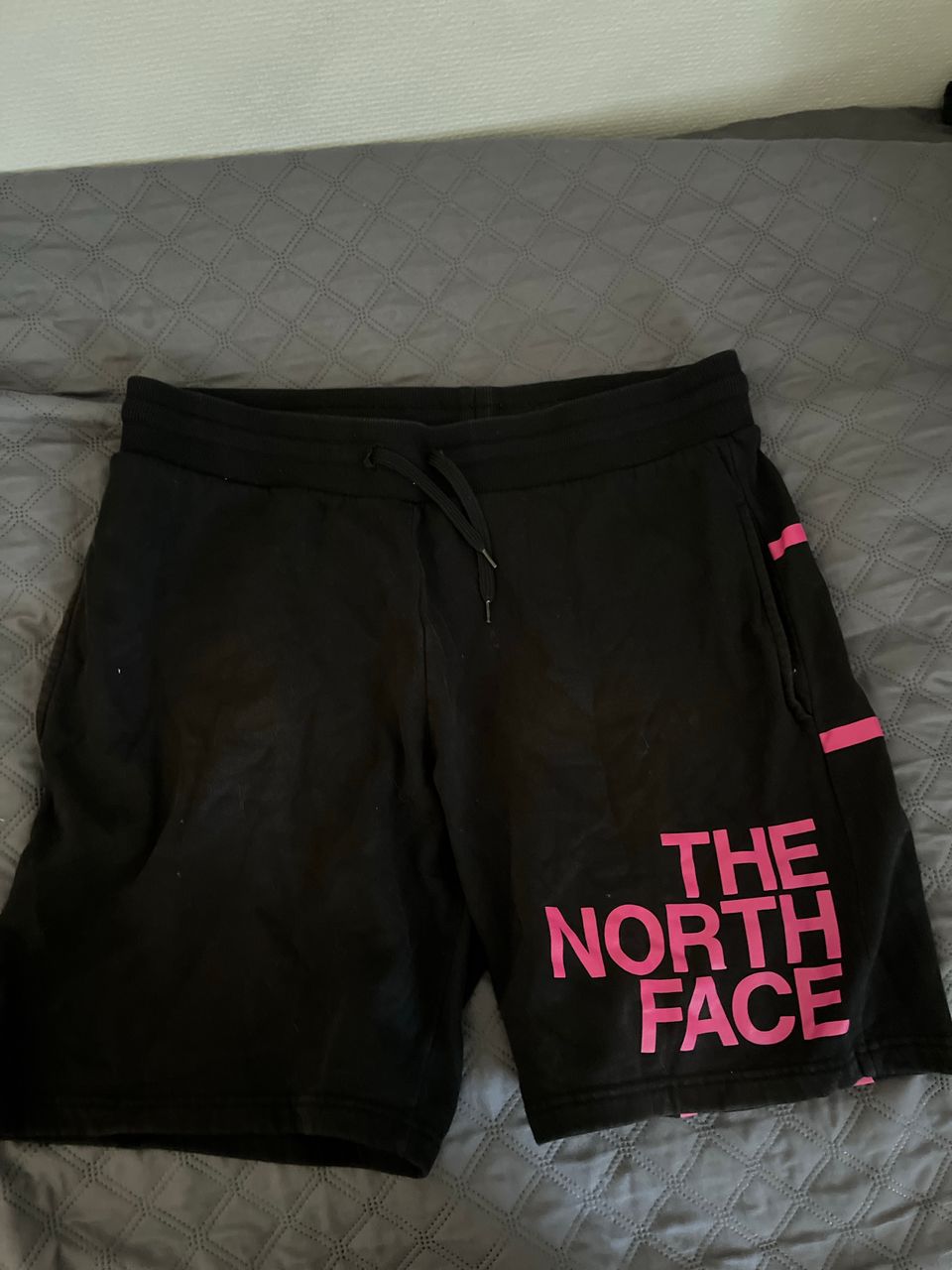 The north face shortsit