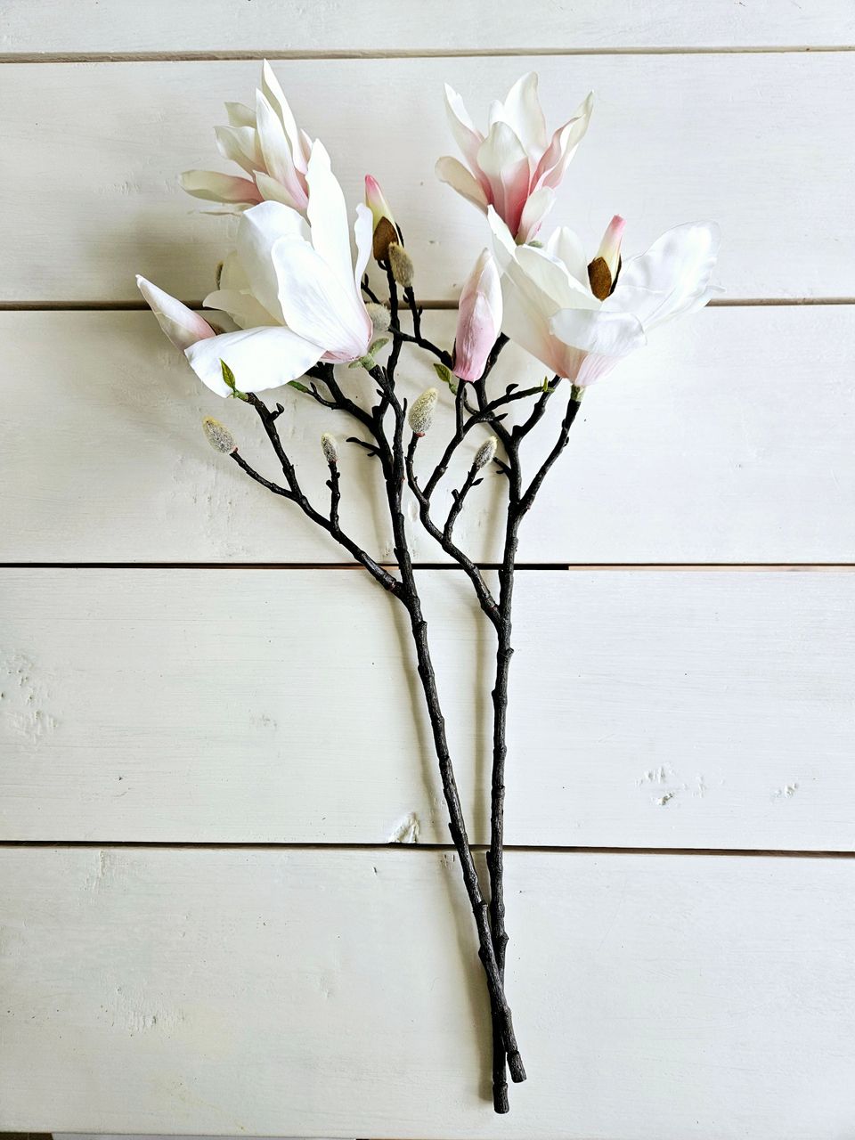 Magnolia, tekokukka