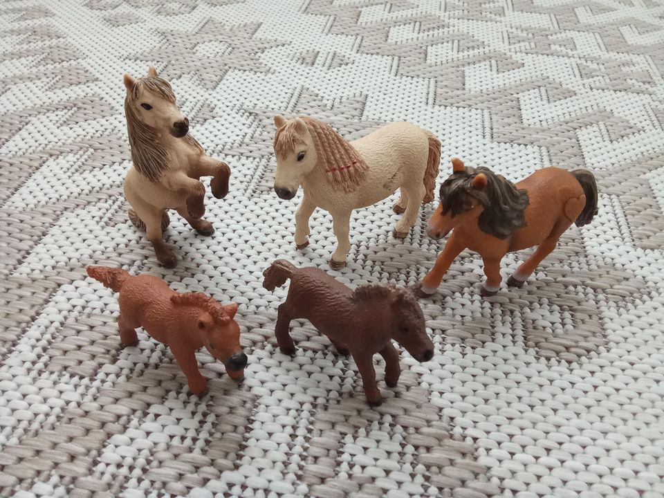 Schleich harvinaiset shetlanninponit