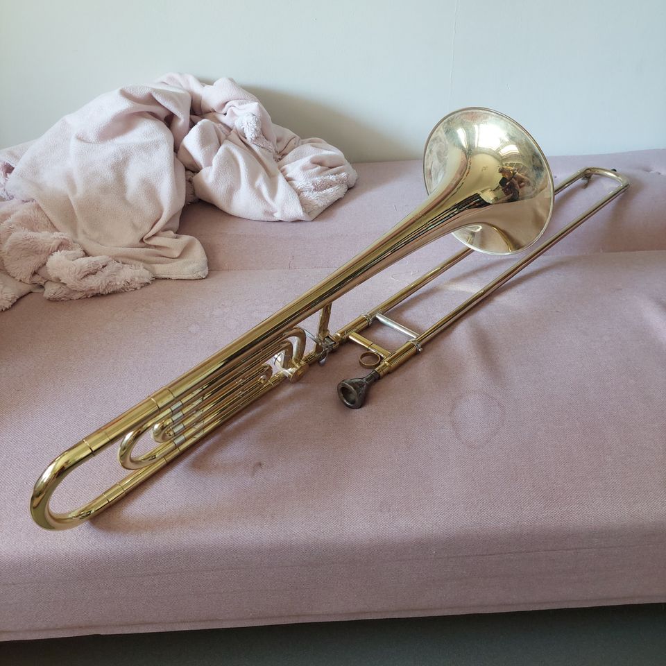 Pasuuna ja kotelo / Trombone and case