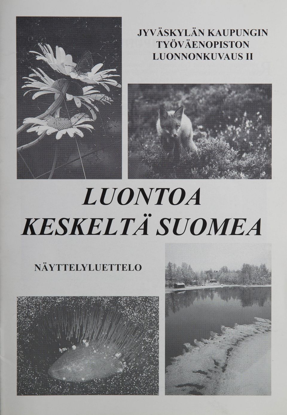 Luontoa keskeltä Suomea