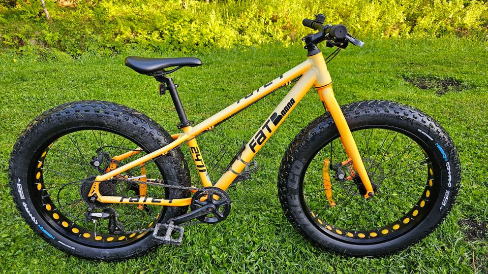 Baana fatbike 24