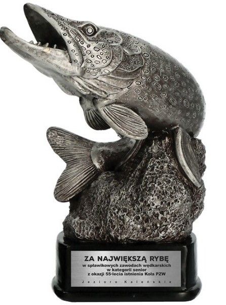 Haukipatsas korkeus 20 cm