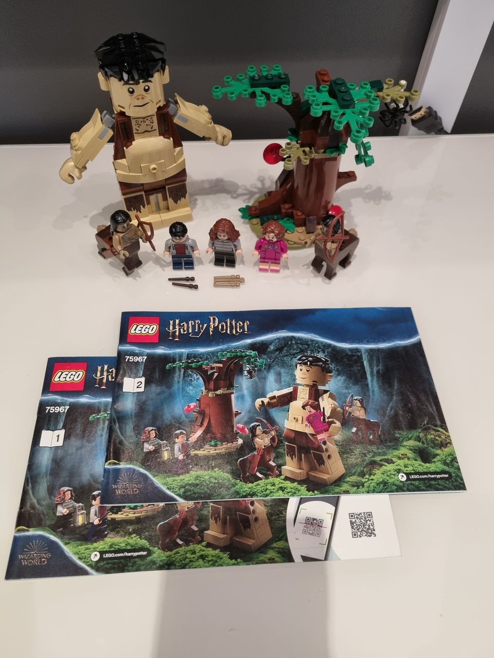 Lego Harry Potter 75967 Kielletty metsä, Pimennon kohtaaminen