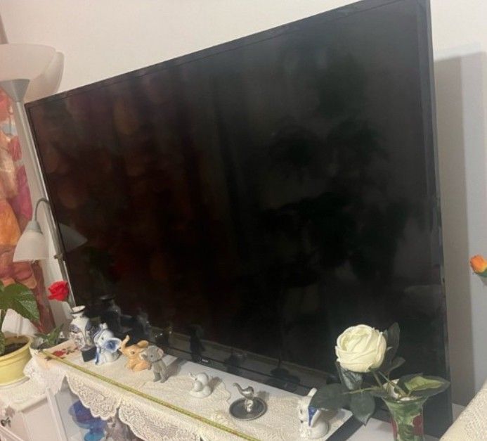 TV Philipsin 50/55