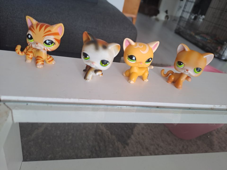 Littlest pet shop