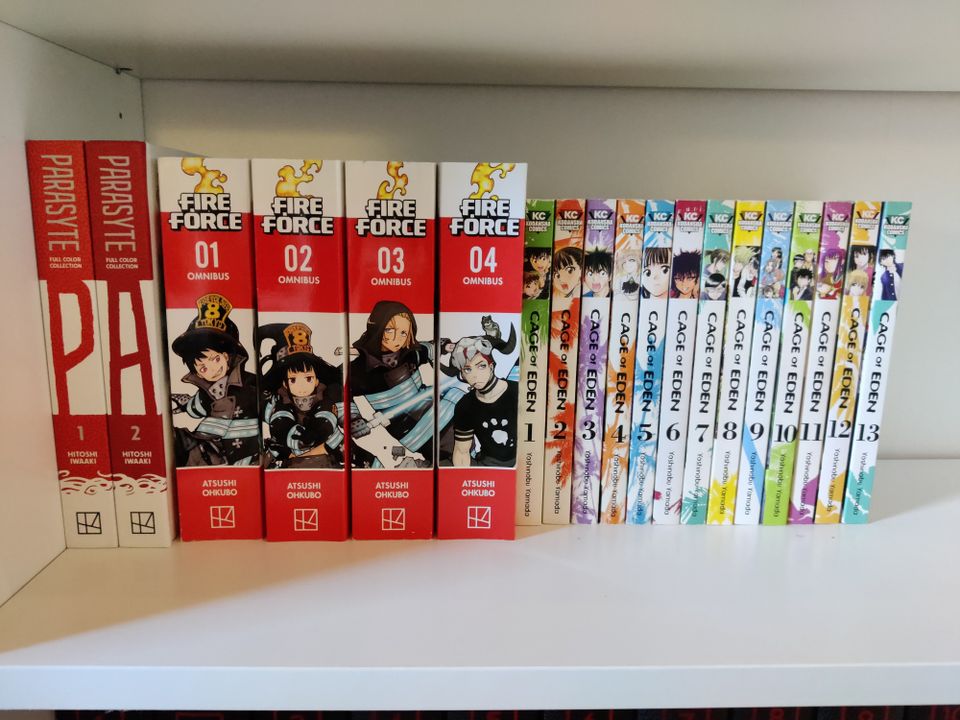Paljon englanninkielistä mangaa ja light novelleja