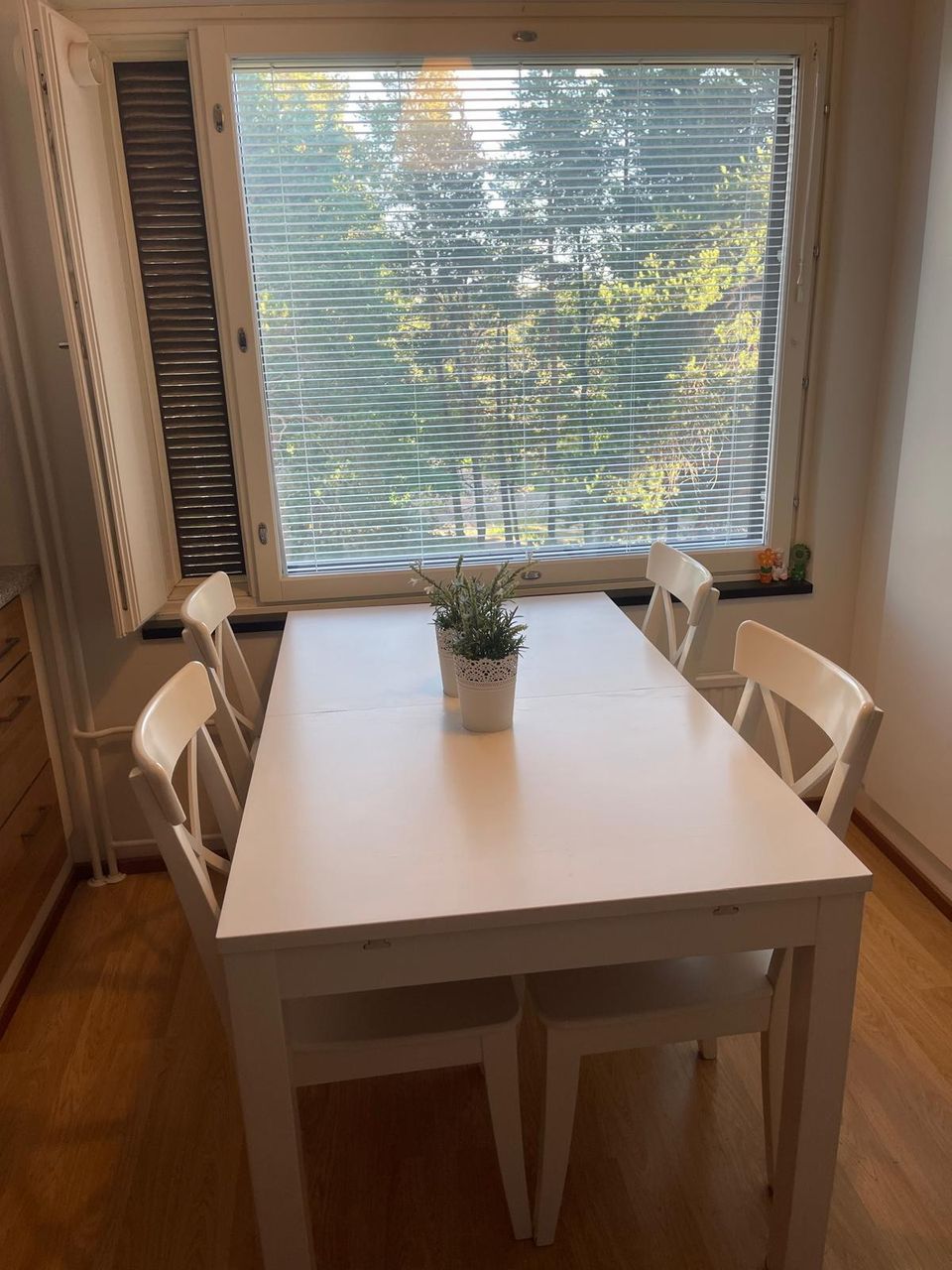 Dining table + 6 chairs