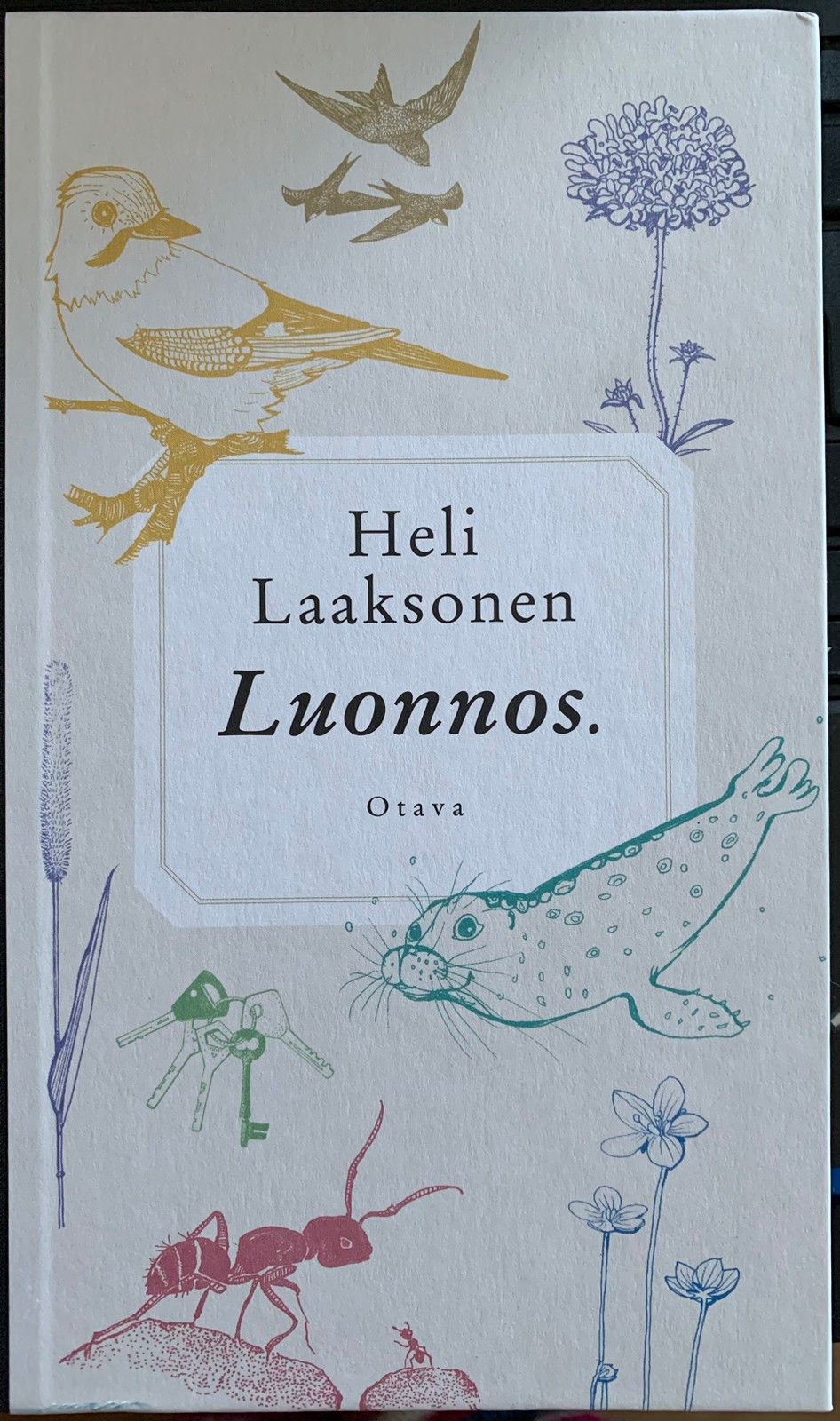 Heli Laaksonen: Luonnos