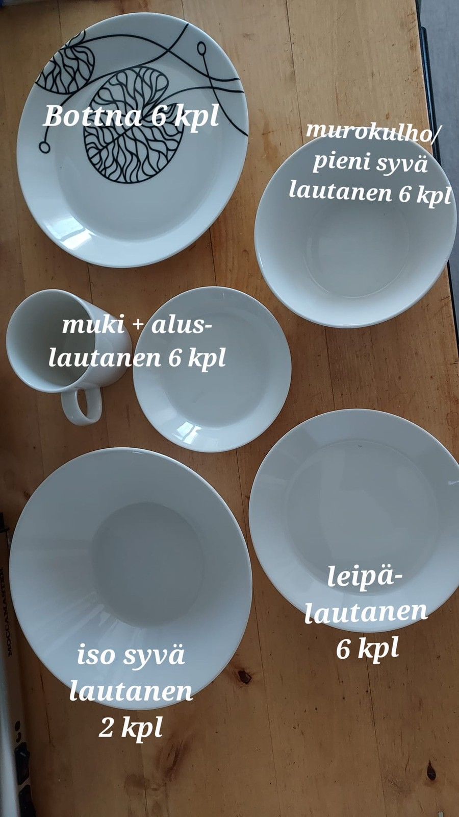 Iittala teema astiasto & Bottna lautaset