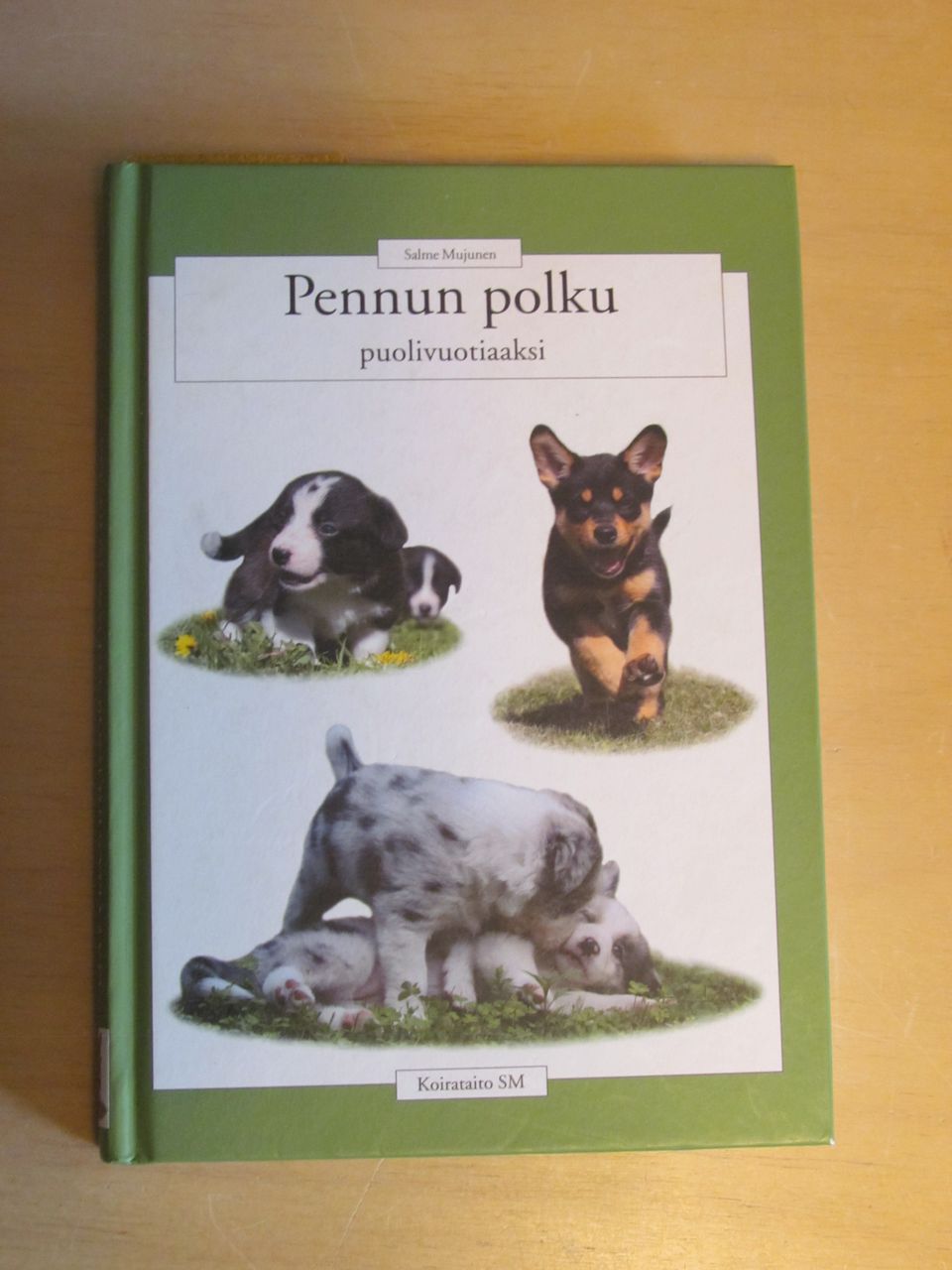 Pennun polku puolivuotiaaksi