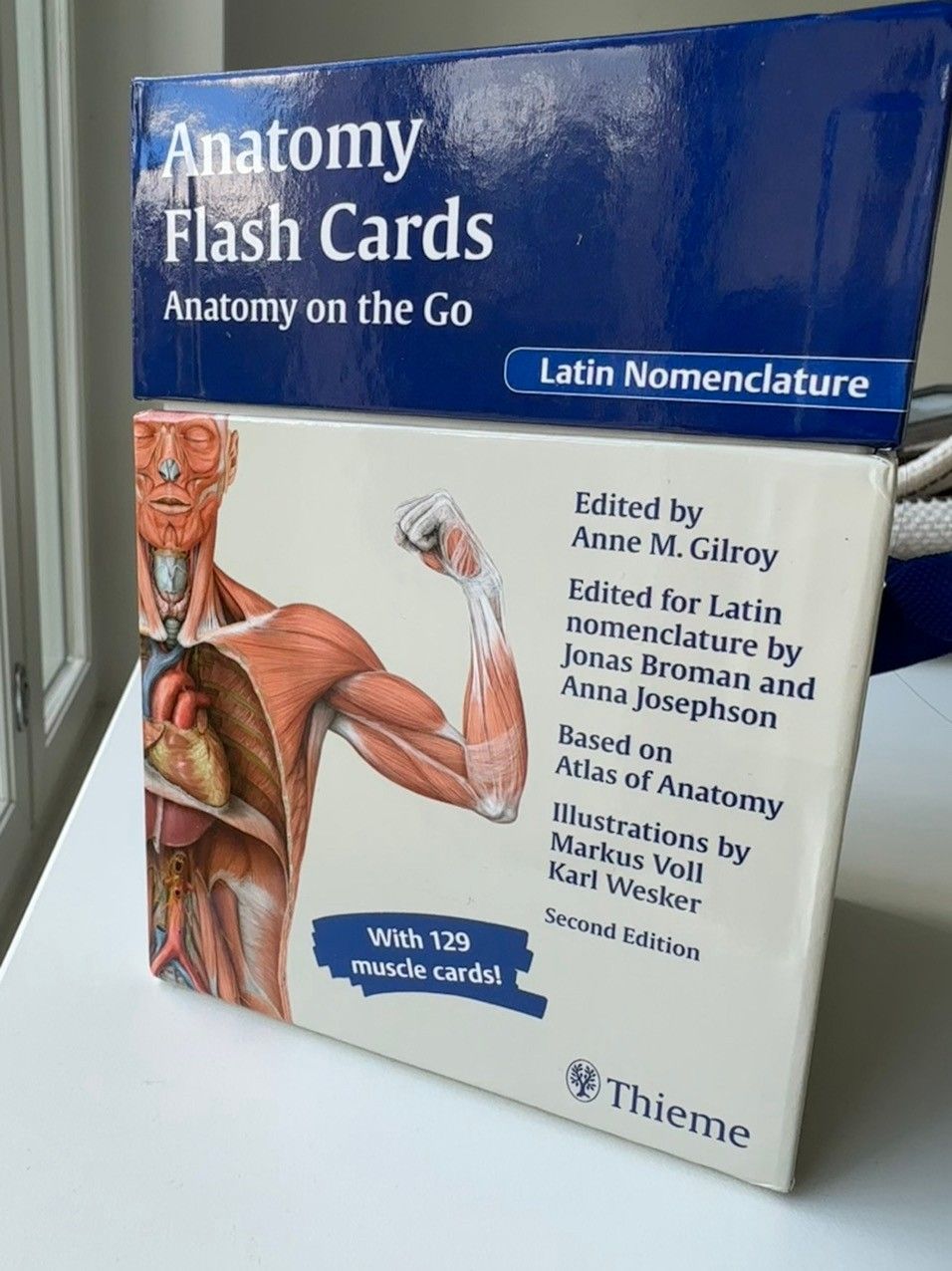 Thieme anatomy flash cards
