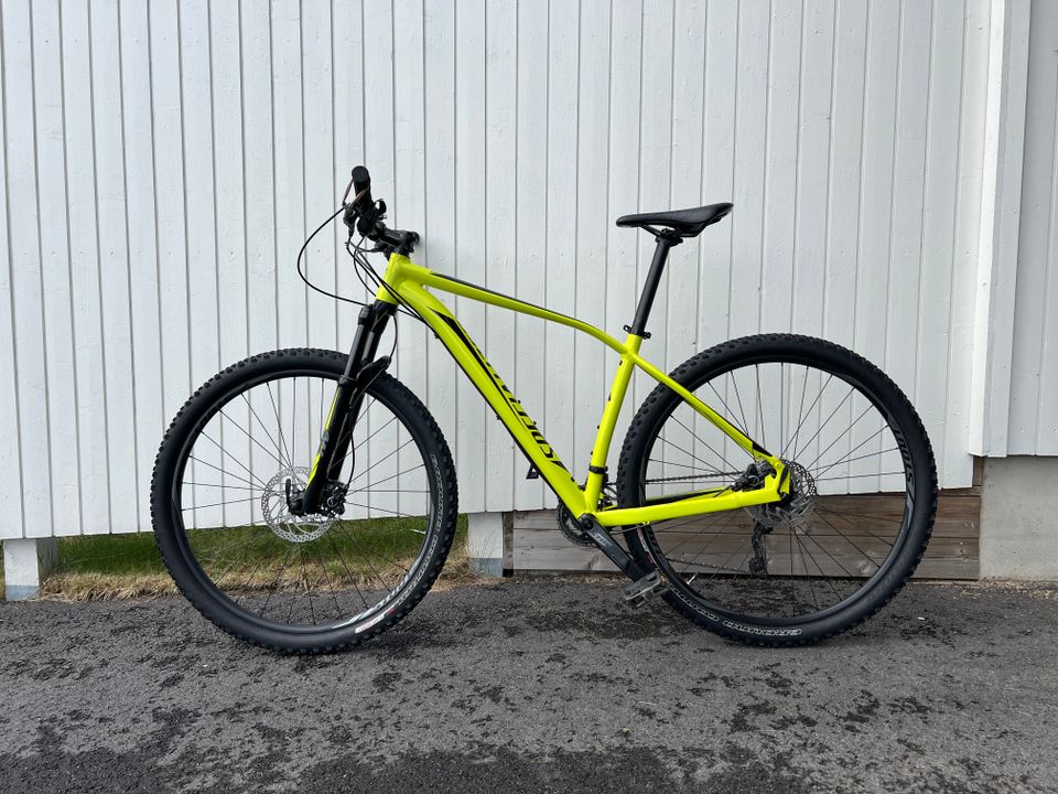 Specialized Rockhopper Expert 29 L