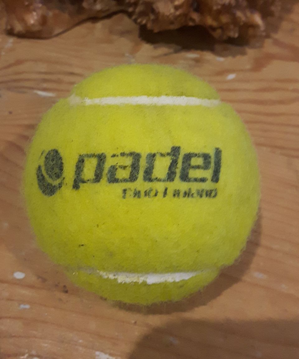 PADEL PALLO