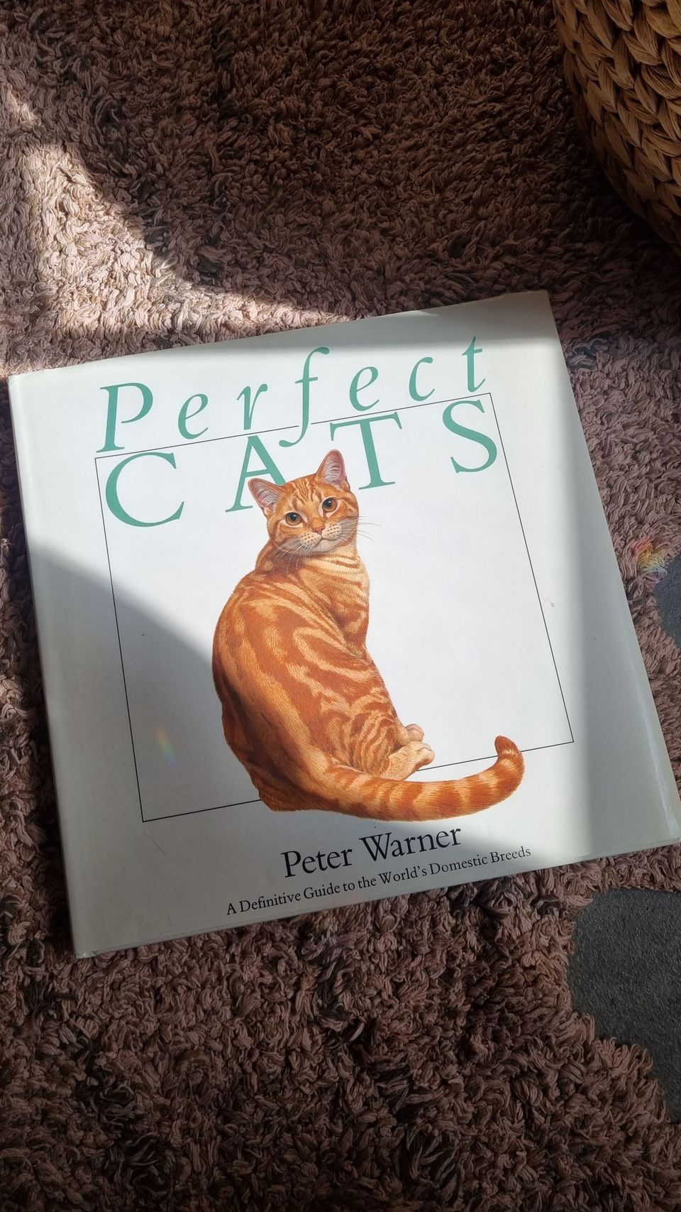 Peter Warner: Perfect cats