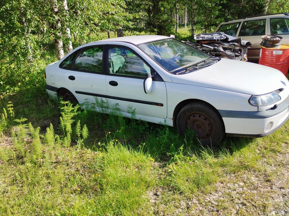 Renault laguna 1 osina