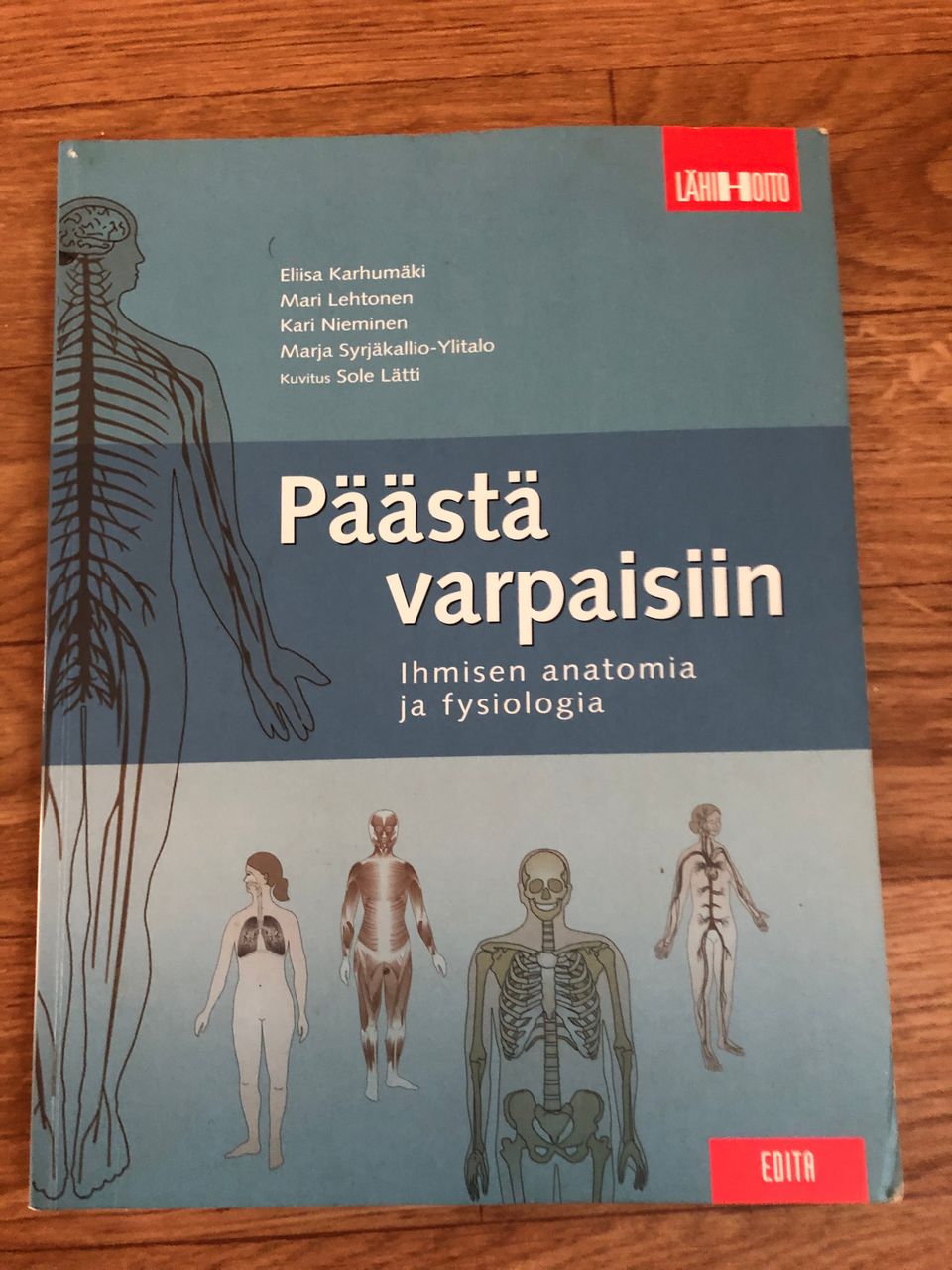 Päästä varpaisiin, ihmisen anatomia ja fysiologia