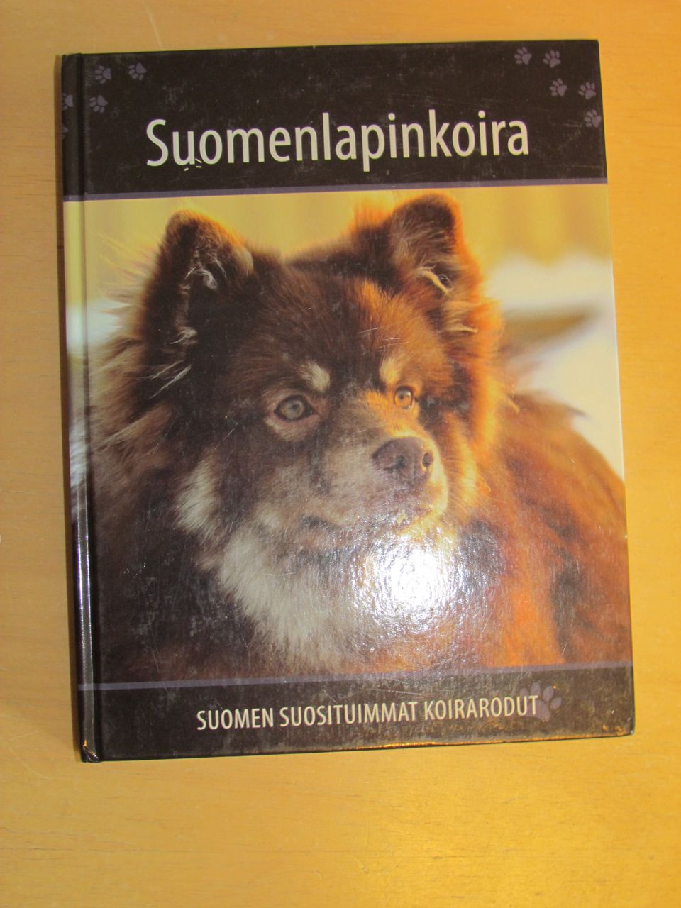 Suomenlapinkoira