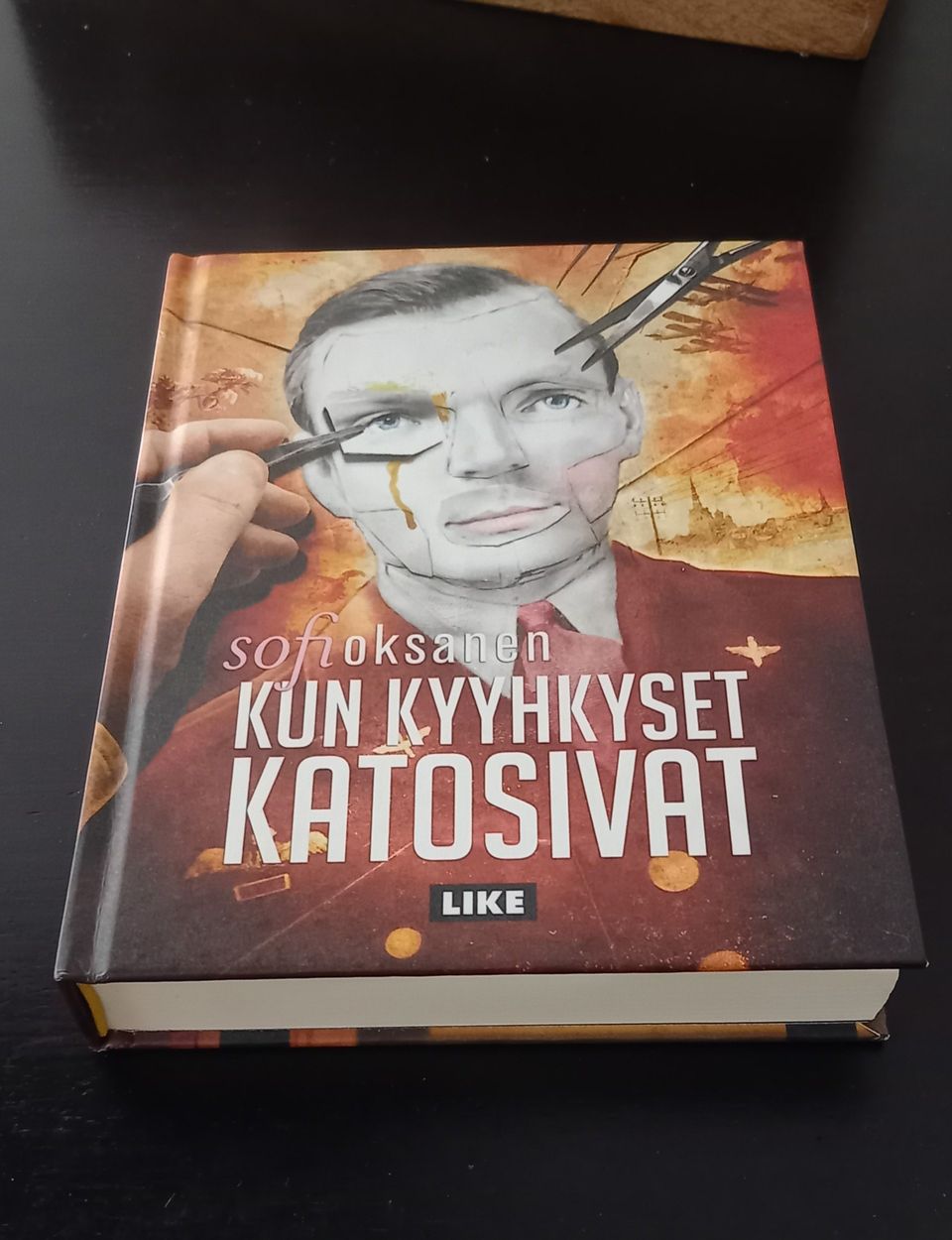 Sofi Oksanen: Kun kyyhkyset katosivat