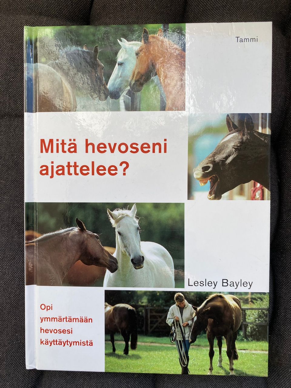 Mitä hevoseni ajattelee