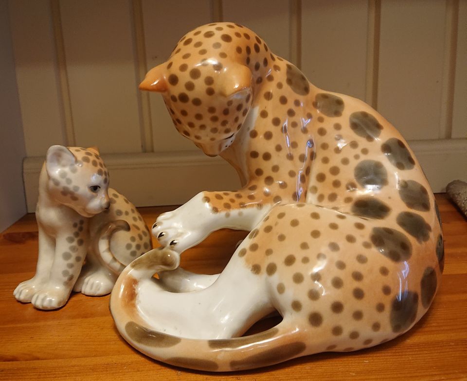 Lomonosov iso gepardi+ pienempi