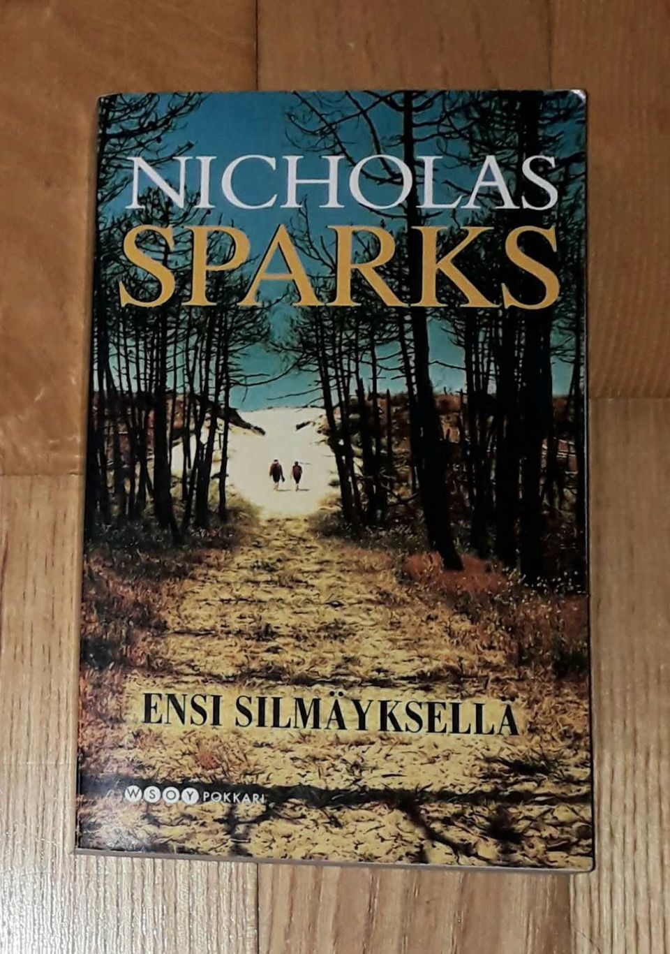 Nicholas Sparks: Ensi silmäyksellä