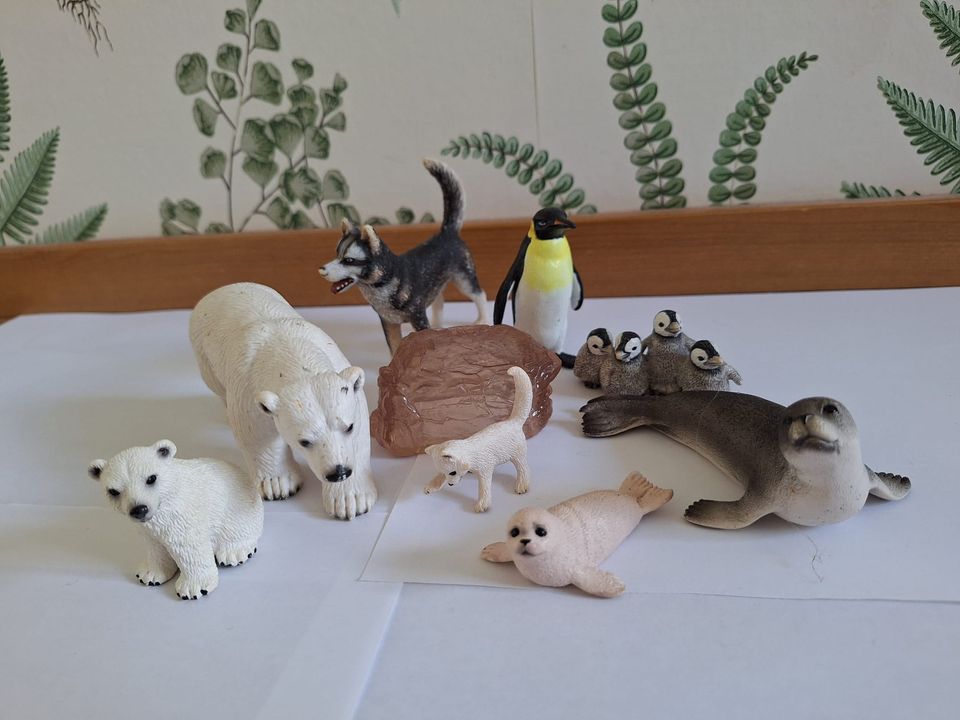 Schleich -setti ”Jäätikön eläimet” Varattu