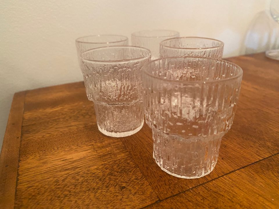 Paadar snapsilasi 5 kpl, Iittala.