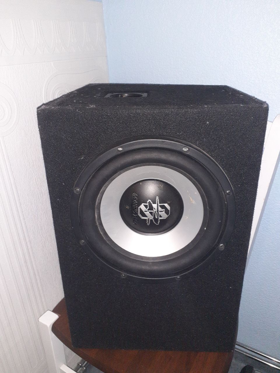 10" subwoofer.