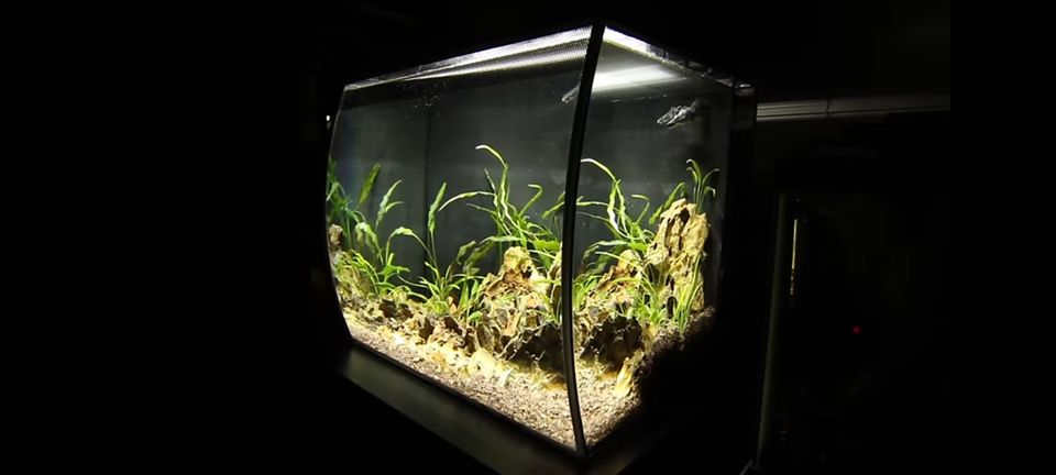Akvaario Nano; FLUVAL FLEX LED 34