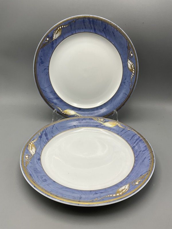 Royal Copenhagen Blue Magnolia lautanen 2kpl