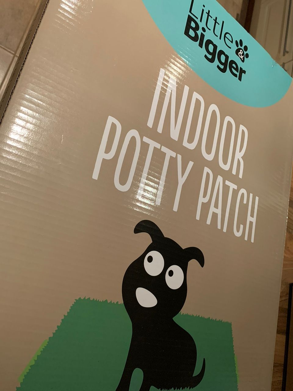 Little&Bigger Indoor Potty Patch